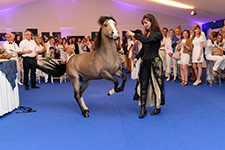 Photocall Meeting estival sur les hippodromes de Deauville Lucien Barrière